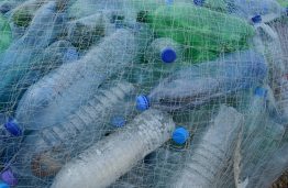 Pasauliui springstant plastiku – dėmesys žiedinei ekonomikai: specialistų trūkumas ir pokyčiai, kuriems turi ryžtis verslas